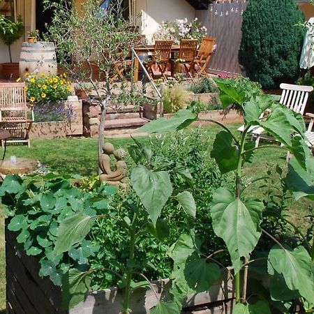 Gartenhaus Am Weinberg Bochingen Dış mekan fotoğraf